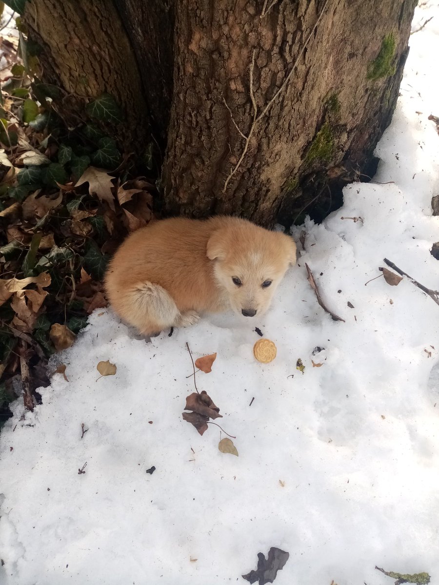 #yabandabizimvatandabizim🇹🇷🇹🇷🇹🇷