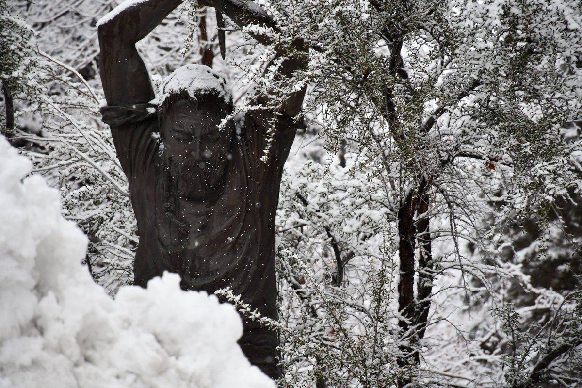 Carson Proud tweet media