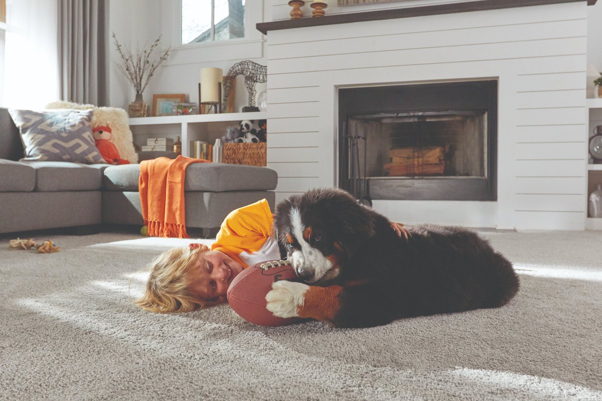 If your pet is an all star athlete, even at the expense of your floors, check out <a href="/HomeDepot/">The Home Depot</a>’s exclusive Lifeproof with Petproof Technology carpet official sponsor of this year’s Puppy Bowl! #Ad