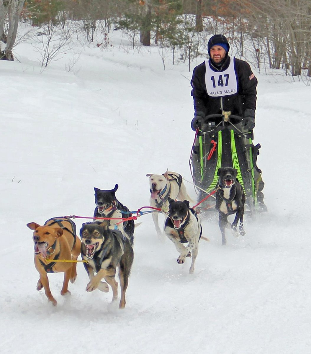 RichfieldTimes's tweet photo. When Richfield resident Ron Hayden adopted a Siberian Husky through a rescue group 11 years ago, he had no idea it would lead to a new passion: dogsled racing. https://t.co/bSFM2O42De https://t.co/dzFOYfgeDH
