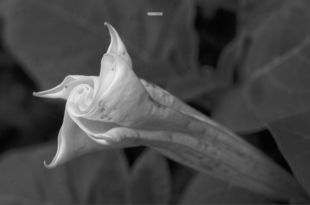 You can also combine the color filters.