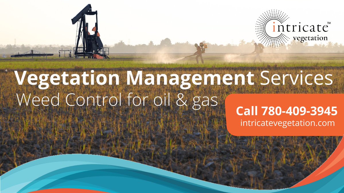 IntricateVeget1's tweet image. Intricate Vegetation | Providing vegetation control for oil &amp;amp; gas hubs.la/H0FHxjW0 #vegetationcontrol