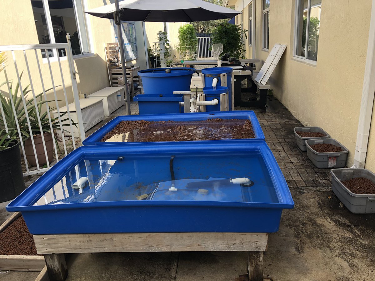 Hope Kennedy 🌎 tweet media