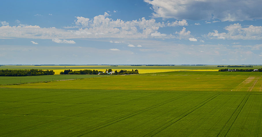 See where you can grow with <a href="/TELUS_Ag/">TELUS_Ag</a> 🌾. 

Check out our latest #CareerOpportunities in UX,  marketing, client engagement and more with <a href="/TKXS_news/">TKXS by TELUS Agriculture</a>, <a href="/FarmAtHand/">Farm At Hand by TELUS Agriculture</a> and
 <a href="/MuddyBootsLtd/">Muddy Boots by TELUS Agriculture & Consumer Goods</a>. 

#TELUSAgFamily