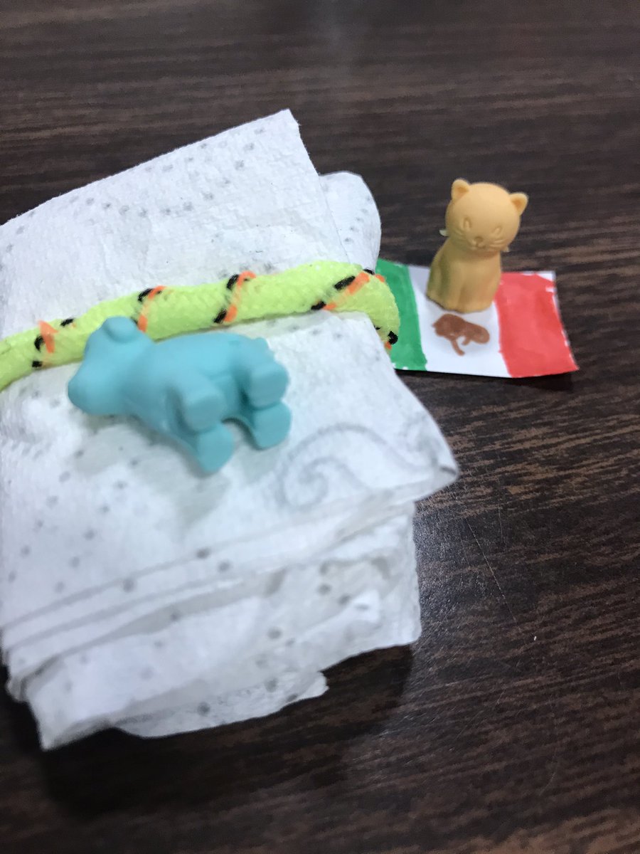 Bluebonnet Library tweet media