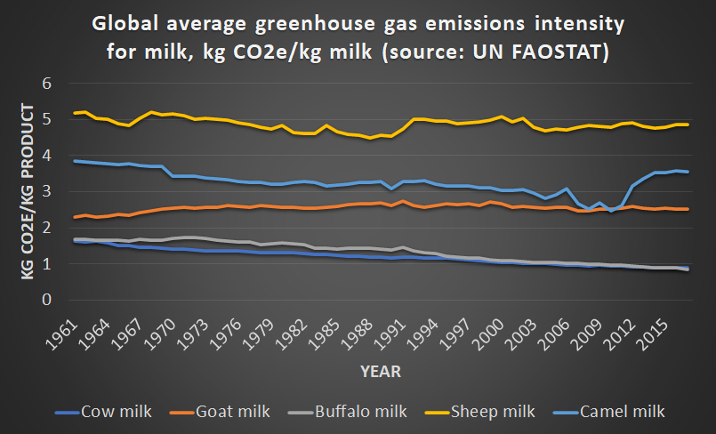 Sara Place tweet media