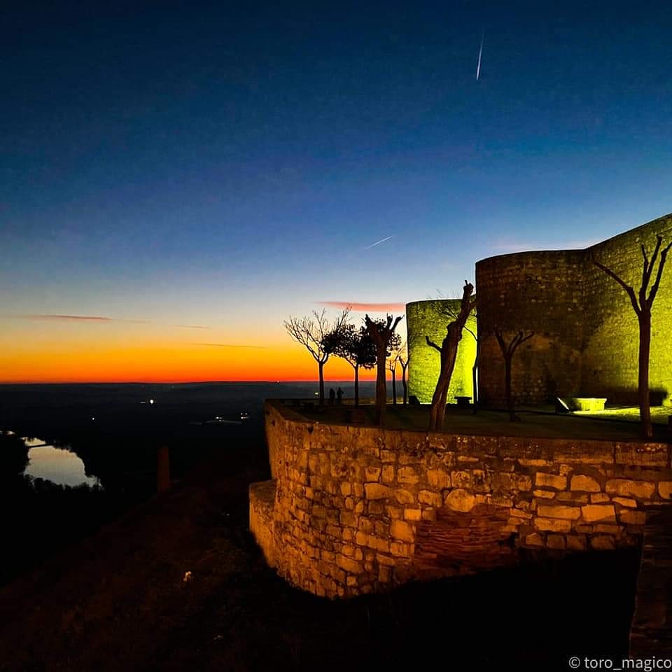 ZamoraHosteleri's tweet photo. 📸 DESDE EL ALCÁZAR DE TORO ❤️
Ciudad de Leyes, cuna de reyes.
Bajo la última luz, el #Duero es un reflejo y el sol un rastro de fuego más allá del monte de San Miguel.
Es tanta la quietud que desde esas murallas se divisa el mundo entero
✍️Ana Pedrero
📸@TomasdelBien 
@CyLesVida https://t.co/pakrOgQMi1