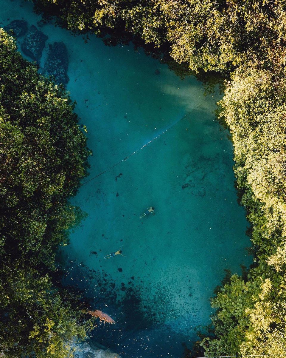 earth's tweet photo. Exploring the mangroves of Tulum ✨ https://t.co/Ffm9wWb9Bx