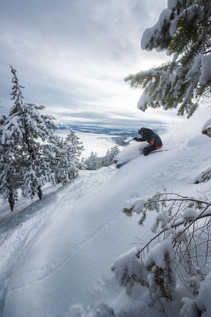 redresort's tweet photo. Feels good to be back on pow! 🙌

Share your pow day photos and videos with us by tagging #REmountain and following @redresort for your chance to win $100 at RED! Winner announced Sunday January 31st.

⛷ Kole Harle | 📸 Ashley Voykin | #REDresort #ski #powderday https://t.co/KhCuV6bcAM