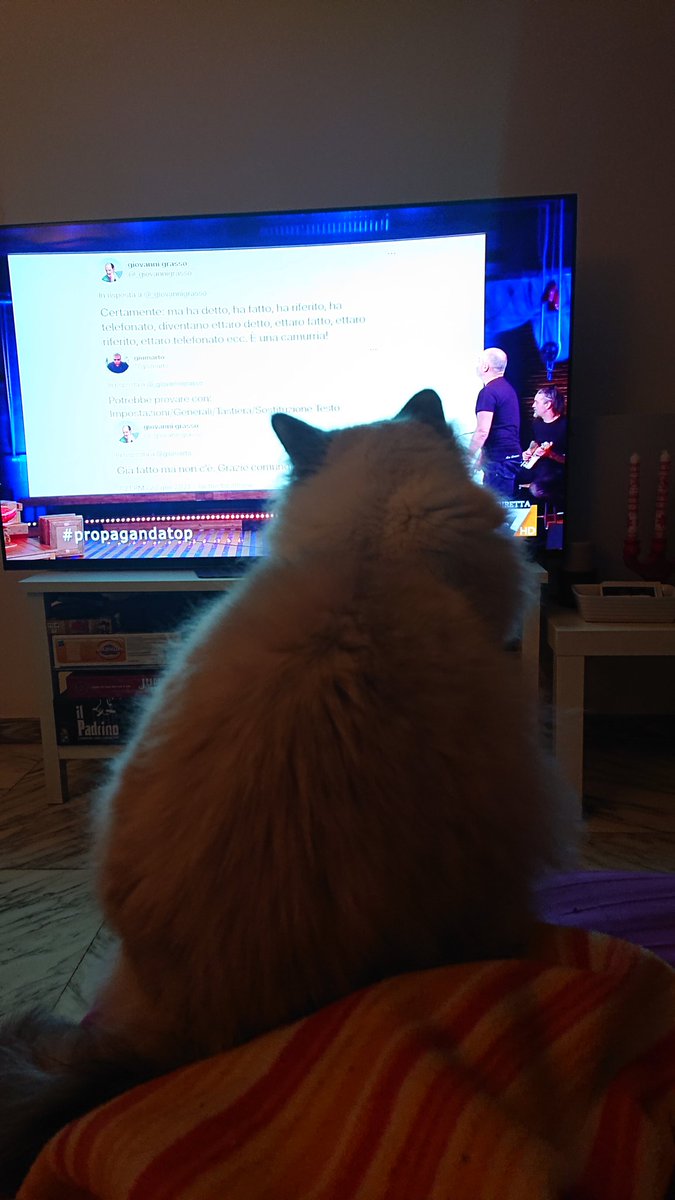 Leuzza hates you tweet media