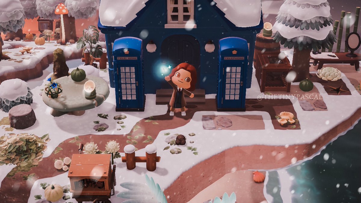littlecalathea's tweet photo. It's called the Tardis...it can travel anywhere in time and space...and it's mine! 🪐✨ https://t.co/UPKvHgluxB