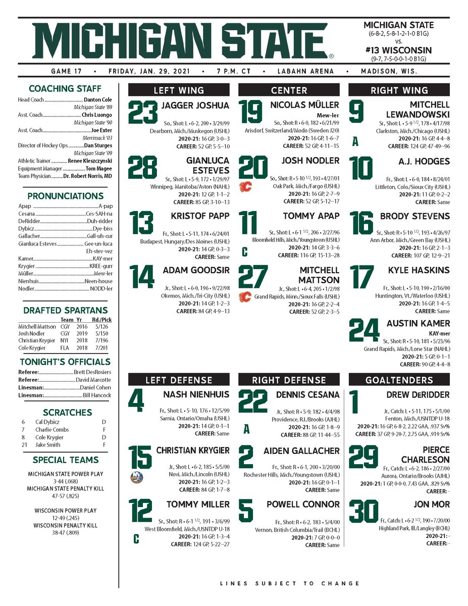 Michigan State Hockey tweet media