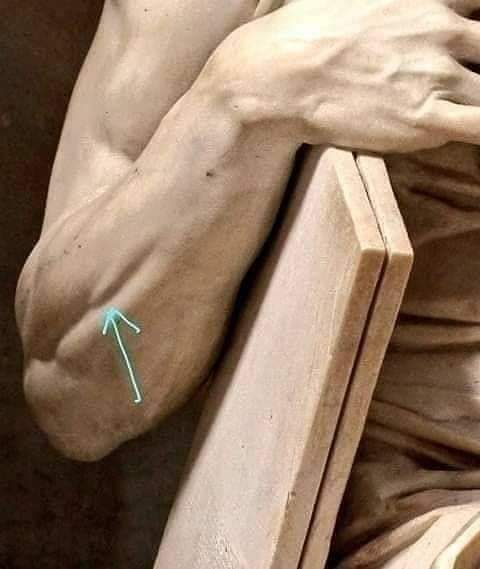 pattvarella's tweet photo. Miguel Ángel era todo un genio.
Hay un pequeño músculo en el antebrazo que solo aparece cuando levantas el meñique.
Aquí vemos que Moisés, de Miguel Ángel, levanta el dedo meñique un poco, dejando el músculo tenso. Es por estas cosas que se forjan los pequeños grandes detalles. https://t.co/Yx8EhnsMot