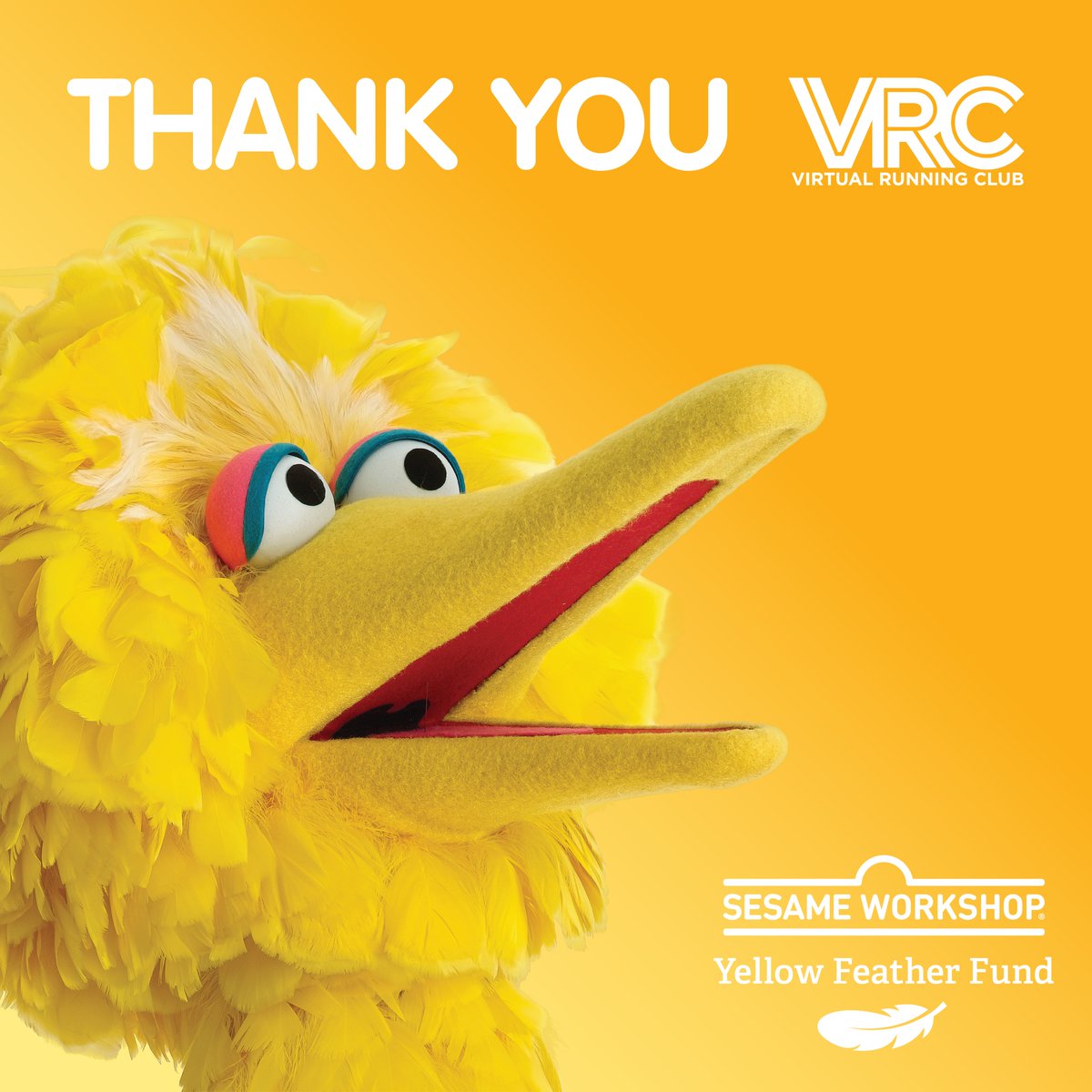SesameWorkshop's tweet photo. Thank you @VRunningClub for your support of Sesame Workshop's Yellow Feather Fund and our efforts to bring laughter and learning to children everywhere! https://t.co/XqlorK82j6