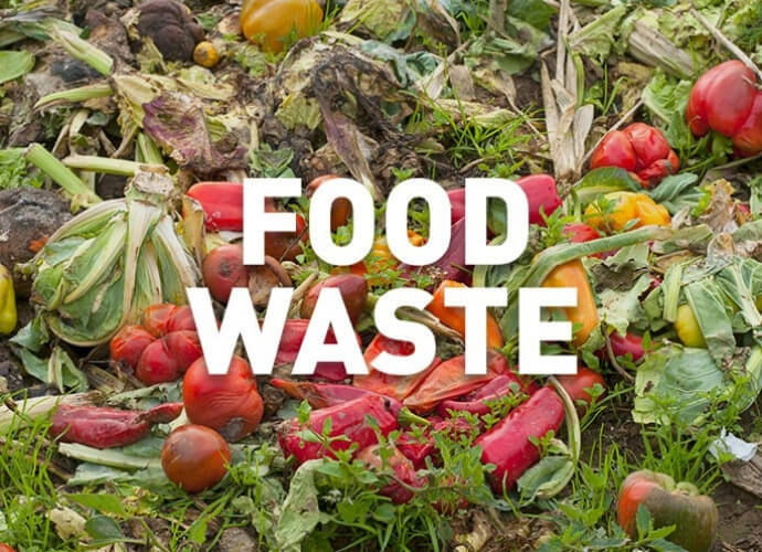 bioeconomy-in-transition.eu/stop-food-wast…