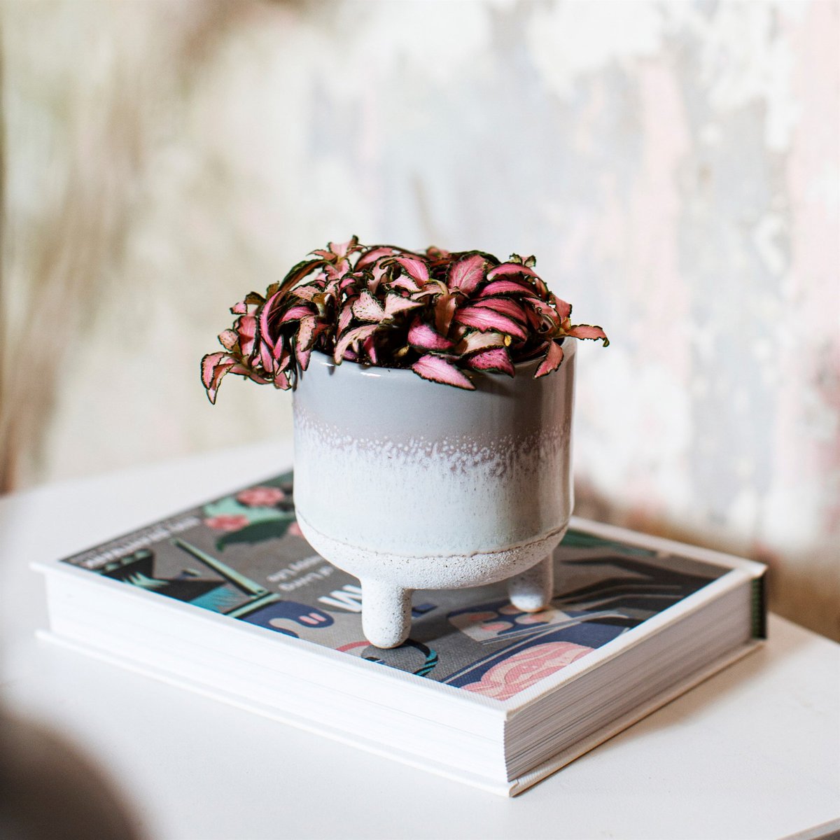 HandselUK's tweet photo. Legy-glazy planters for your leafy friends 🌱! Scroll to see all the colours on offer! https://t.co/MShlqdIU14