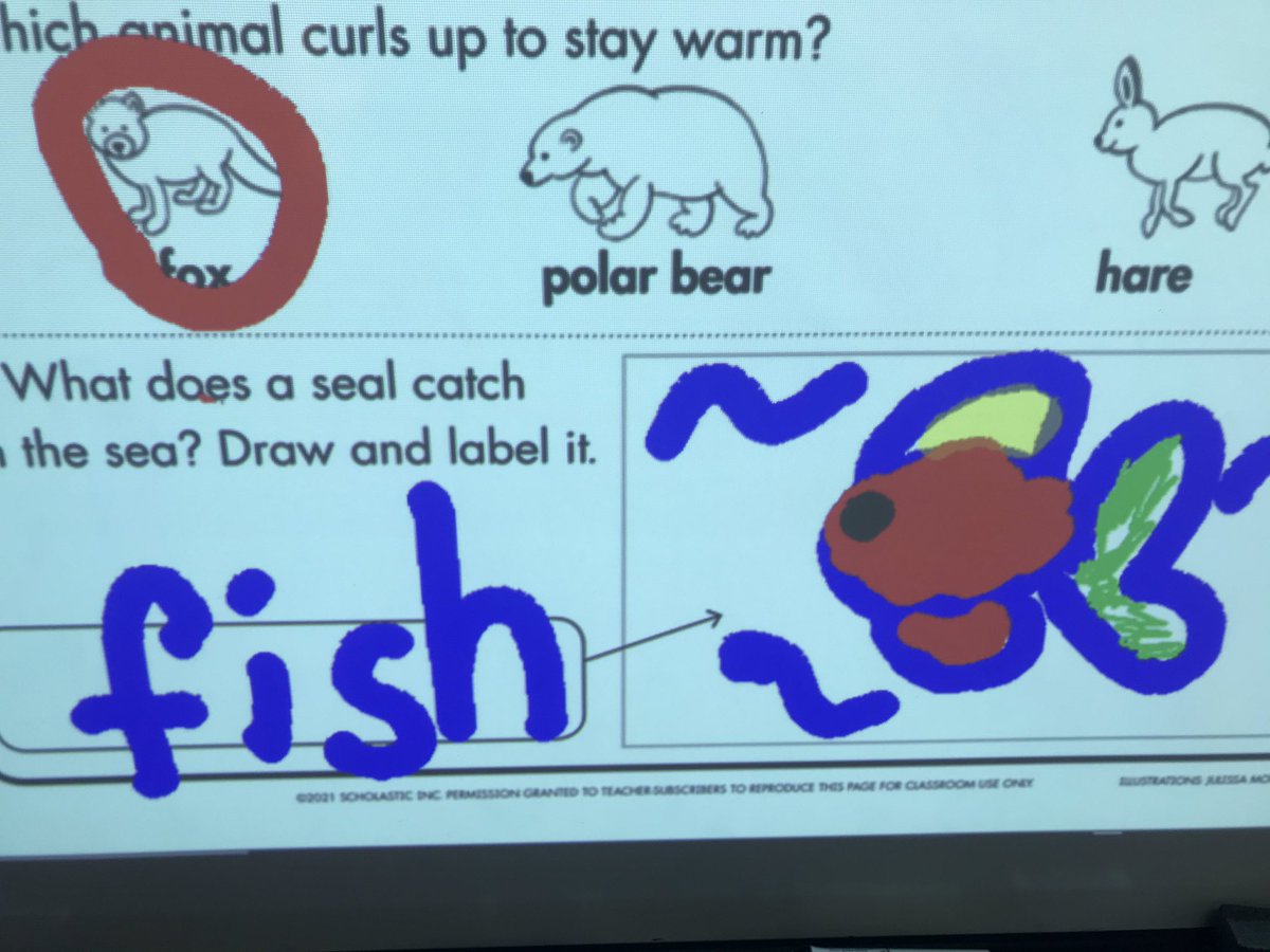 Sonyateacher97's tweet photo. So proud of my 1st grader for answering correctly and illustrating/labeling our @Scholastic comprehension wk! @mrsjacksonLFIST @TBarton42 @jmosorio24 https://t.co/VpAxhUKXlE