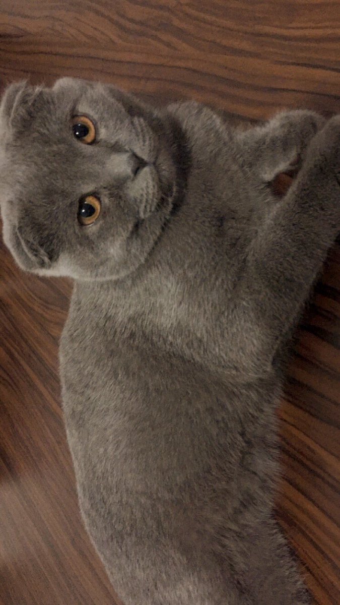 Bebeğimi bıraktım 🧡