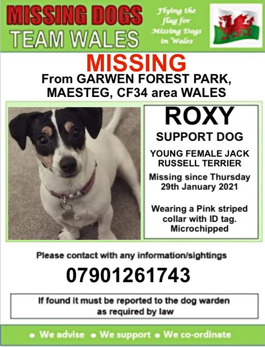 gelert01's tweet photo. ๐SUPPORT DOG๐โผ๏ธROXY IS MISSING FROM #GARWEN #FOREST #MAESTEG #CF34 area #WALES 29/01/2021 โผ๏ธ @CarolPoyerPeett @rosiedoc666 @RachaelB100 @KarenFi51820768 @thedogfinder @PcsharonPage @bs2510 @LostDogAlertUK @Lost_Dogs @PetsLocated @PetAlertUK https://t.co/Kt4Hx8WWbf
