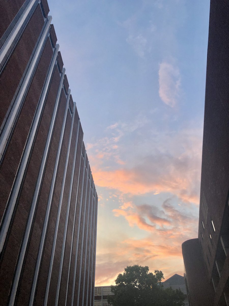 Loyno_SGA's tweet photo. Happy Friday everyone!!! This was the sunrise this morning on campus 🌅 #loyno https://t.co/e7tsByJT39