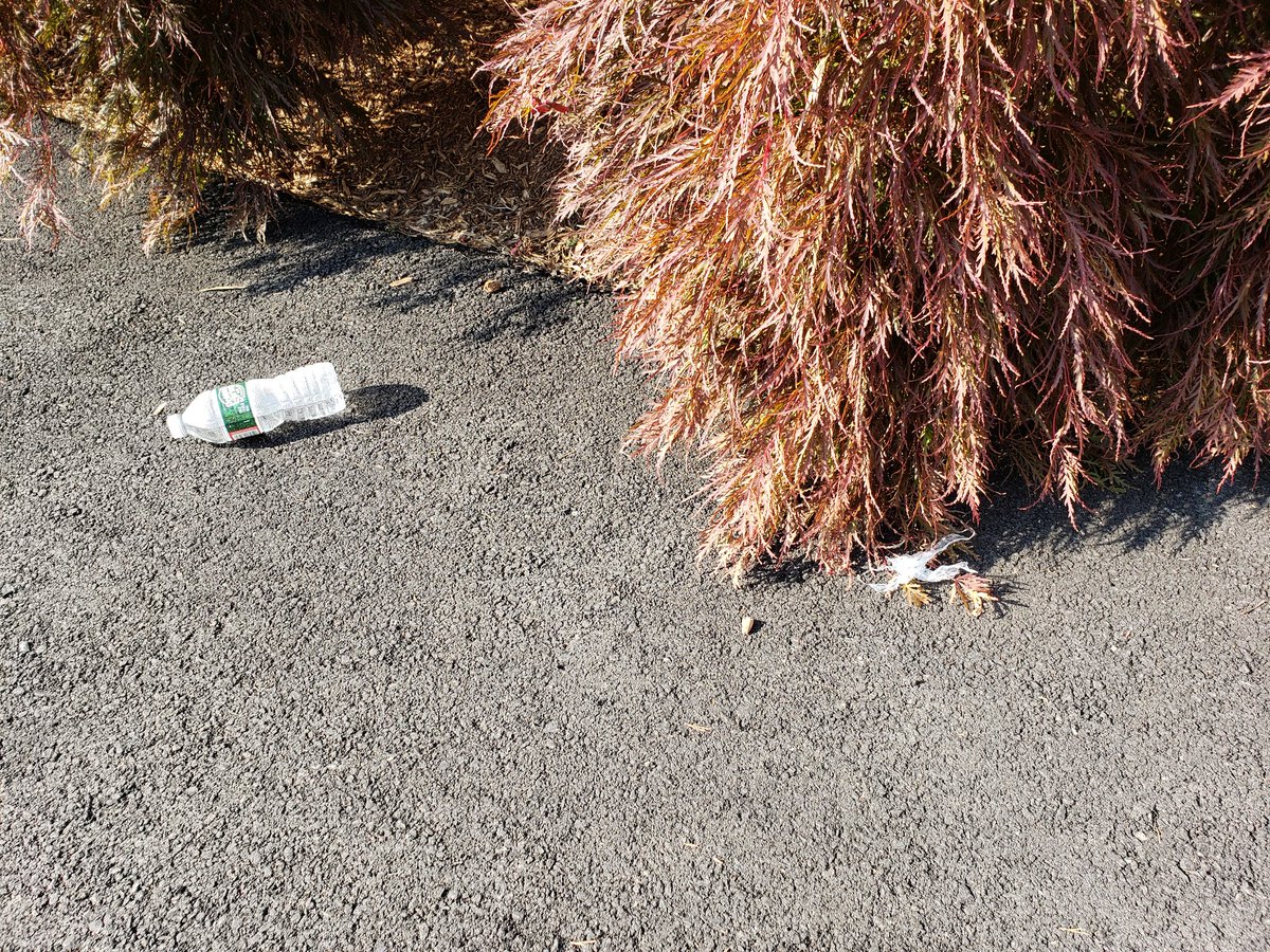 ChefHebert's tweet image. Please do not use @AllMySonsMoving.  Their #service is terrible, they will overcharge you, and will not being taking #COVID19 seriously.