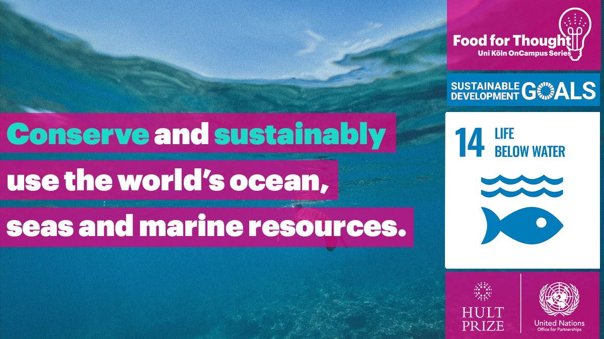 Today‘s UN #SDG is life under water. Despite the critical importance of conserving oceans, decades of irresponsible exploitation habe led to an alarming level of degradation. #Conservation and #sustainability are key to the protection of our planet’s amazing marine life.