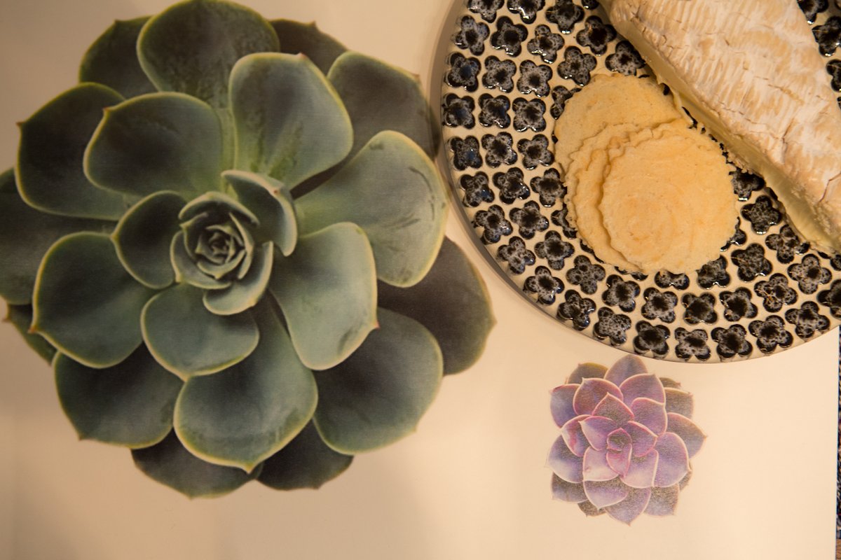WandaWen's tweet photo. Nature lovers - want an energy lift in your meal experience? Try @soolip's Succulent Paper Placemats. They will make your insides smile 🙂
👉   https://t.co/W1bcAiYVOb https://t.co/1nWo8uPzxO
