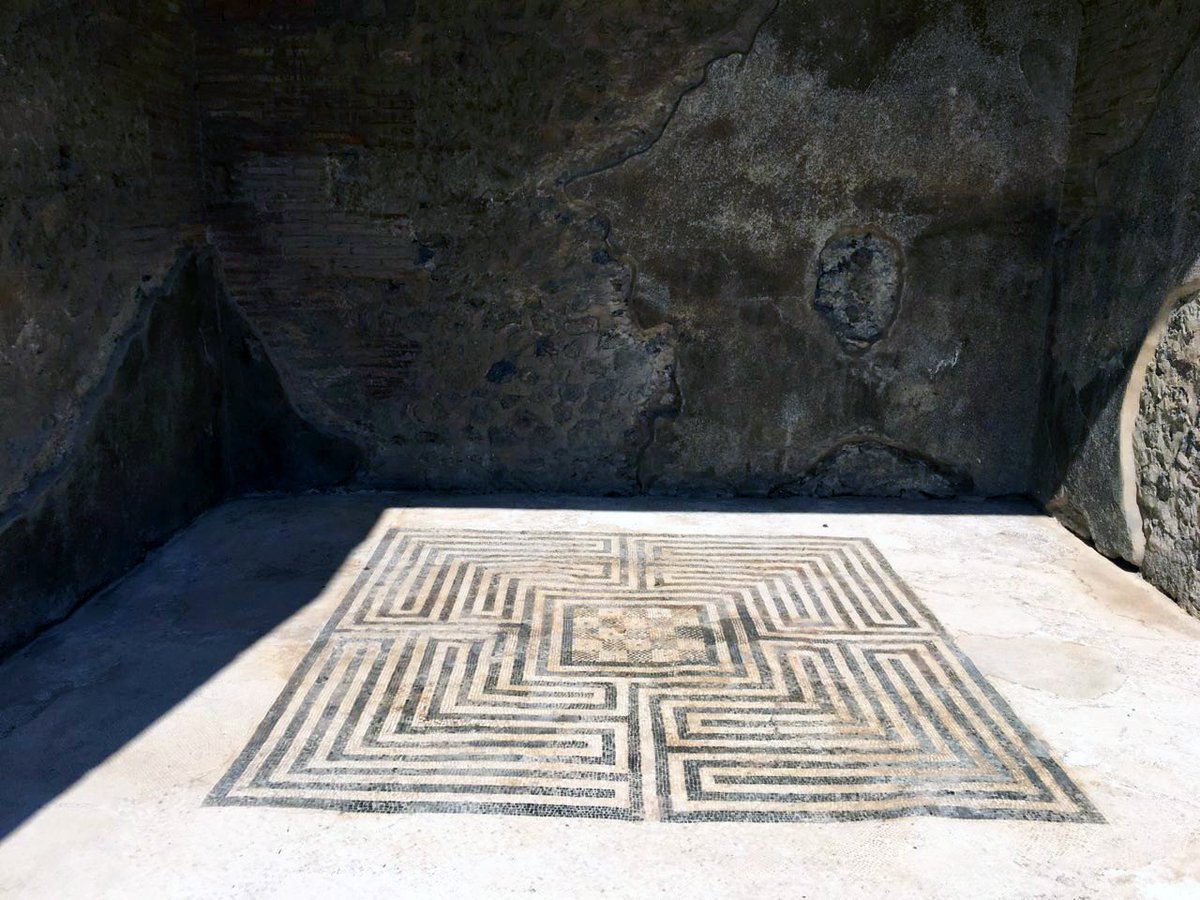 Floors from the House of the Geometric Mosaics