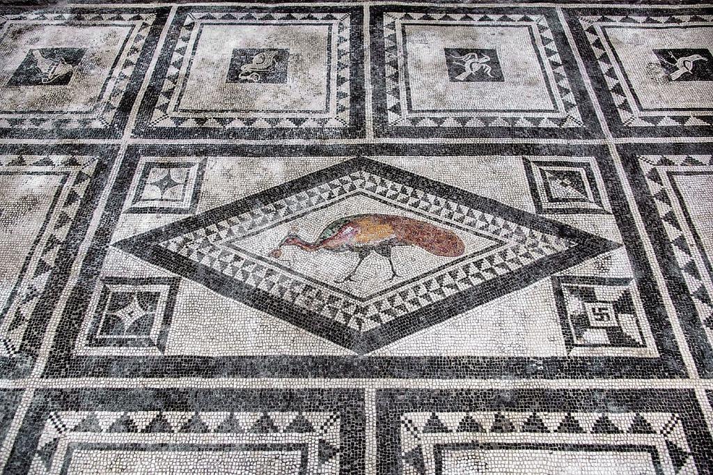 Mosaic from the house of Paquius Proculus