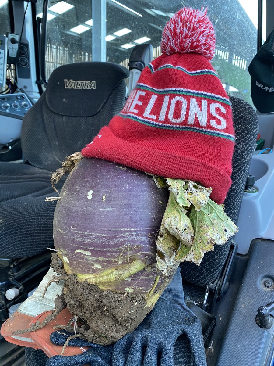 Samuel Clarke tweet media