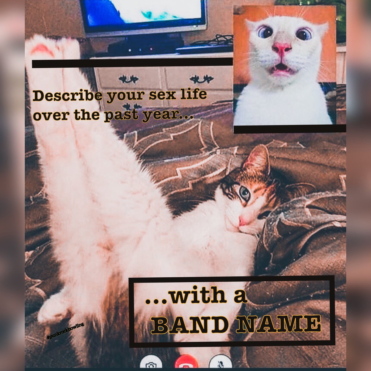PunkRockBowling's tweet image. It’s been awhile since asked...

#currentsexlife #FridayFeeling #fidlar #catslife #caturday #namethatband