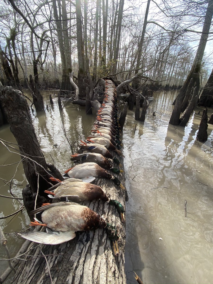 Drew Smith tweet media