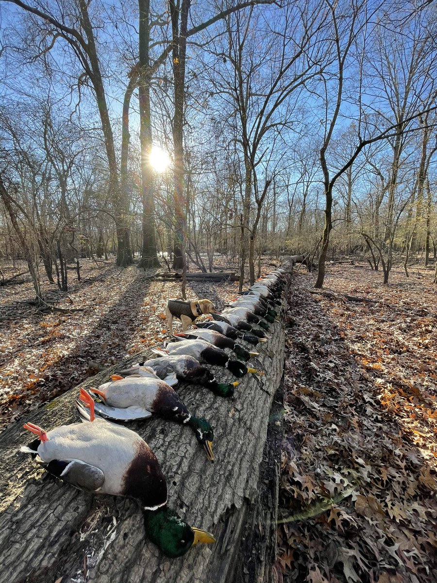 Drew Smith tweet media