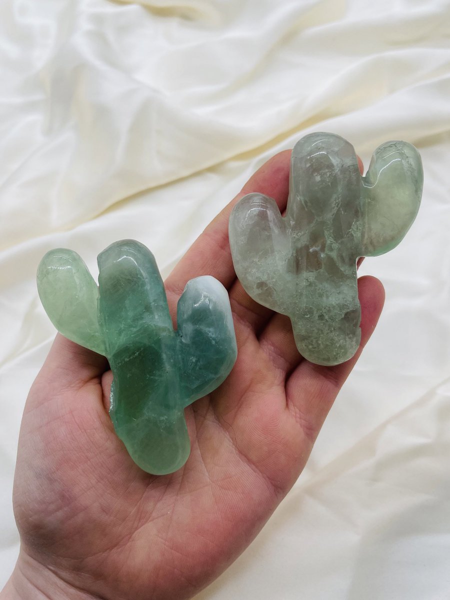 artbyjacstudio's tweet photo. 🌵GIVEAWAY🌵

To enter:
•follow me
•RT this post
•RT my pinned post 

Winner receives these 2 imperfect fluorite cacti 🌵 https://t.co/IpjeSeJOTJ