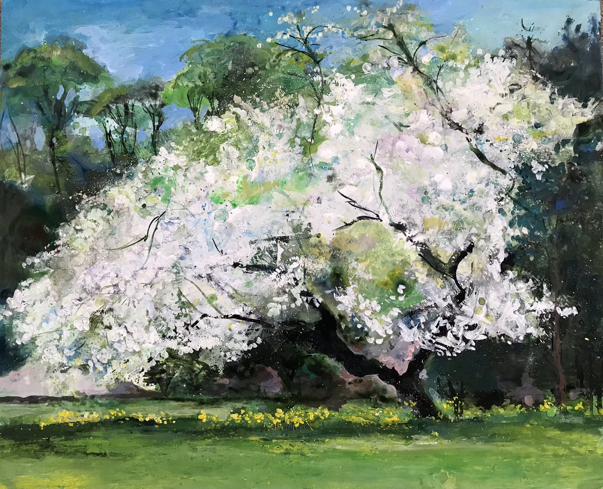 A selection of Blossom Trees being framed for @Moncrieff_Bray Gallery this spring #blossom #trees #spring #exhibition #gallery #landscape #cherrytrees #fife #garden