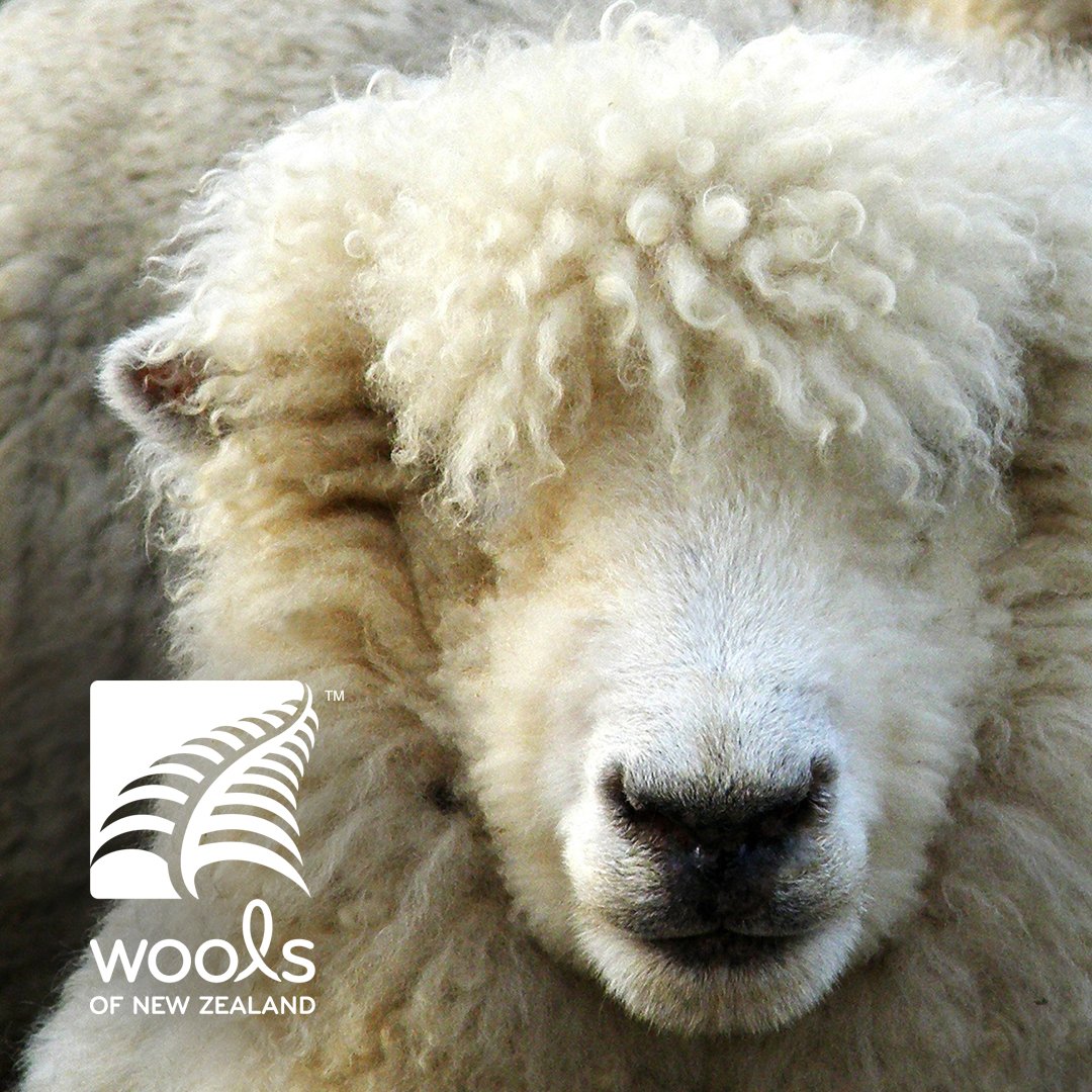 Wools of New Zealand tweet media
