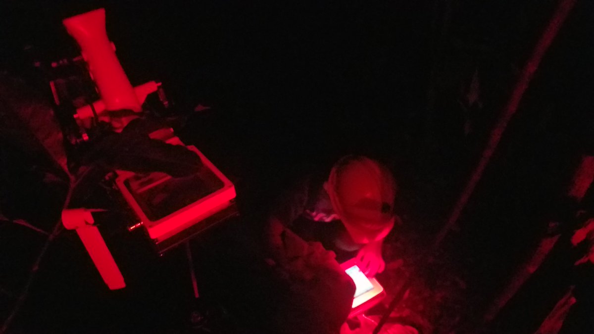 Dark respiration as the name states has to be done at night. We take these measurements from 8 pm to 3 am. At night, you can see lizards sleeping in the leaves, coquís and maybe a Puerto Rican boa moving from one tree to the other.