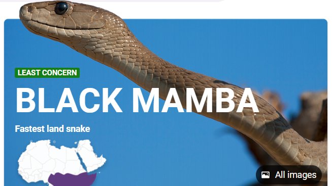 SalGad's tweet image. &quot;If you&apos;re afraid to fail, then you&apos;re probably going to fail.&quot; – #KobeBryant

Today&apos;s #knowledgecard of the day is dedicated to the Black Mamba. Rest in Peace.

bing.com/search?q=black…

#KnowledgeIsSpeed #bing #changingsearch