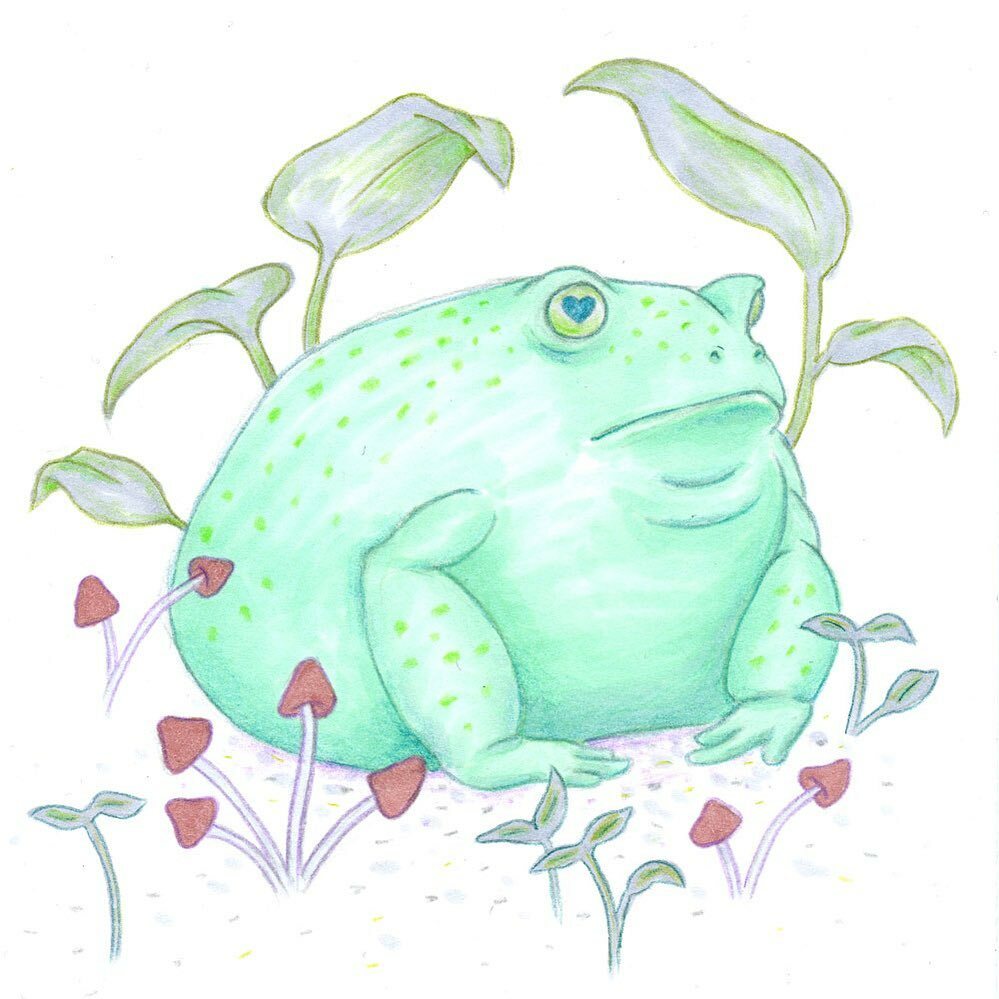 Another Friday, another frog. I found a photo of this perfect little round toad and had to draw it. Did you know that some frogs have heart-shaped pupils? Google some photos and prepare to be amazed. ❤️ #ksfrogfriday
.
.
.
.
.
.
.
#Childrenillustration #… instagr.am/p/CKpE3Tth47D/