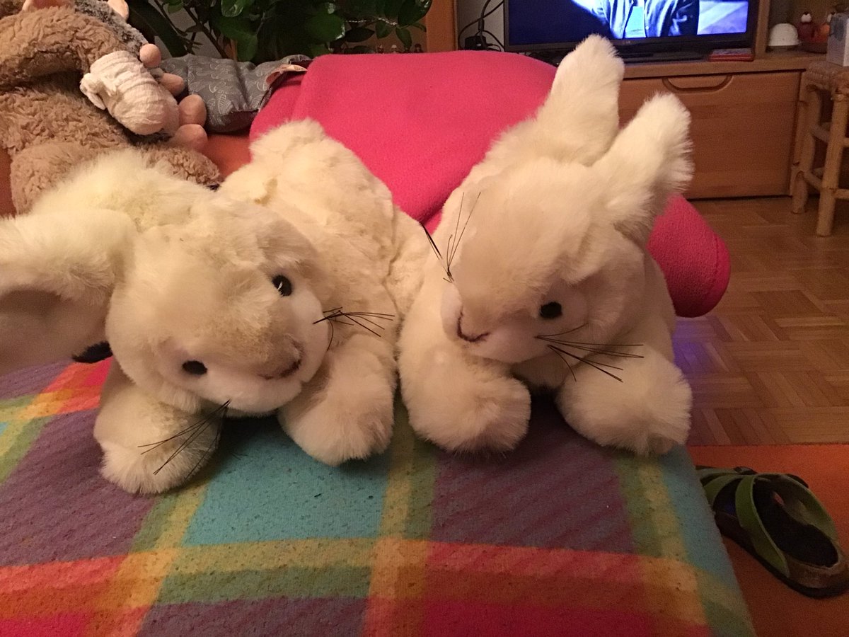 Snugata's tweet photo. Hasen habe ich auch noch im Angebot. #Puschen #Hausschuhe https://t.co/u2GwoqX2cc