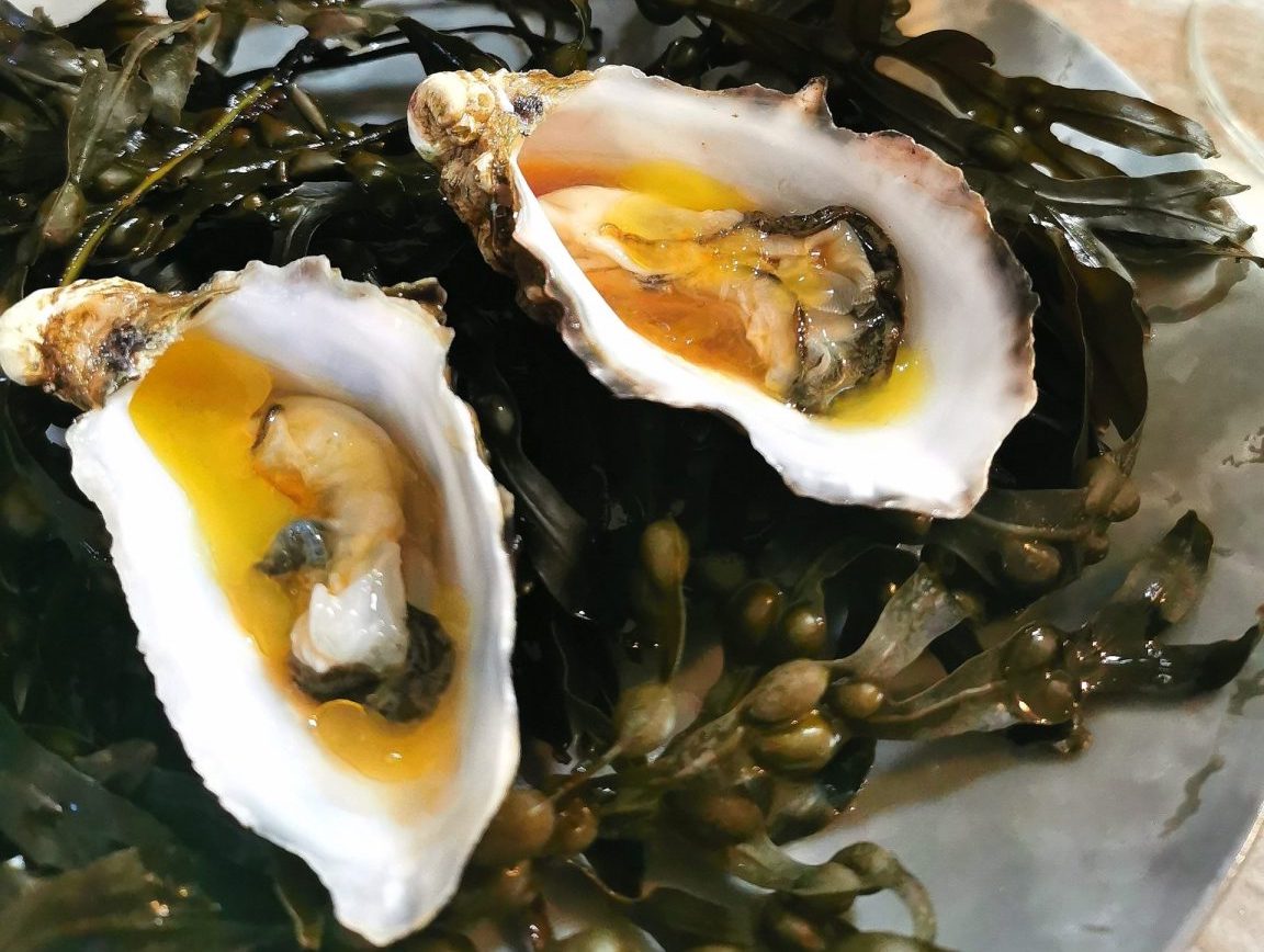 Thetaste_ie's tweet image. 🍴 NEW REVIEW 🍴
Making Michelin Memories with the Seductive &amp;amp; Sophisticated Aimsir at Home Experience - thetaste.ie/making-micheli… RT @Aimsir_Rest @MichelinGuideUK @CliffatLyons