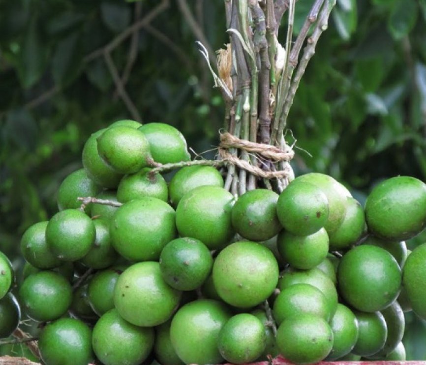 Me decía Mi Mamoncito, le revisé el celular y éramos un gajo completo. 😞😞😞