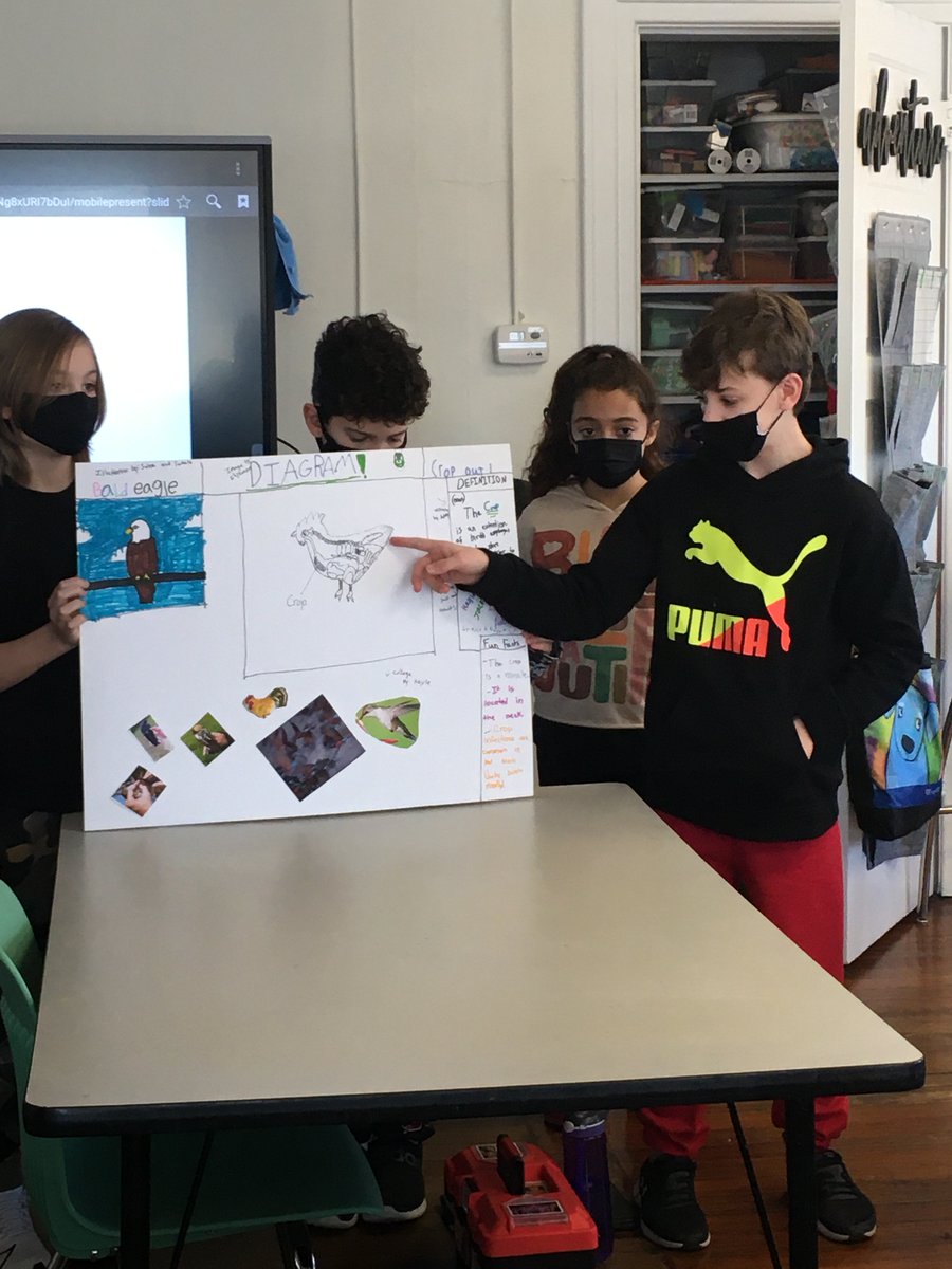 AFPASPS's tweet image. AFPA students work in ensembles to interpret/present scientific vocabulary from @SWFLEagleCAM Models of incubators, diagrams of digestive &amp;amp; reproductive systems, synonyms, fun facts &amp;amp; animated slides were used to demonstrate research/knowledge. It&apos;s all about CHOICE @officialSPS