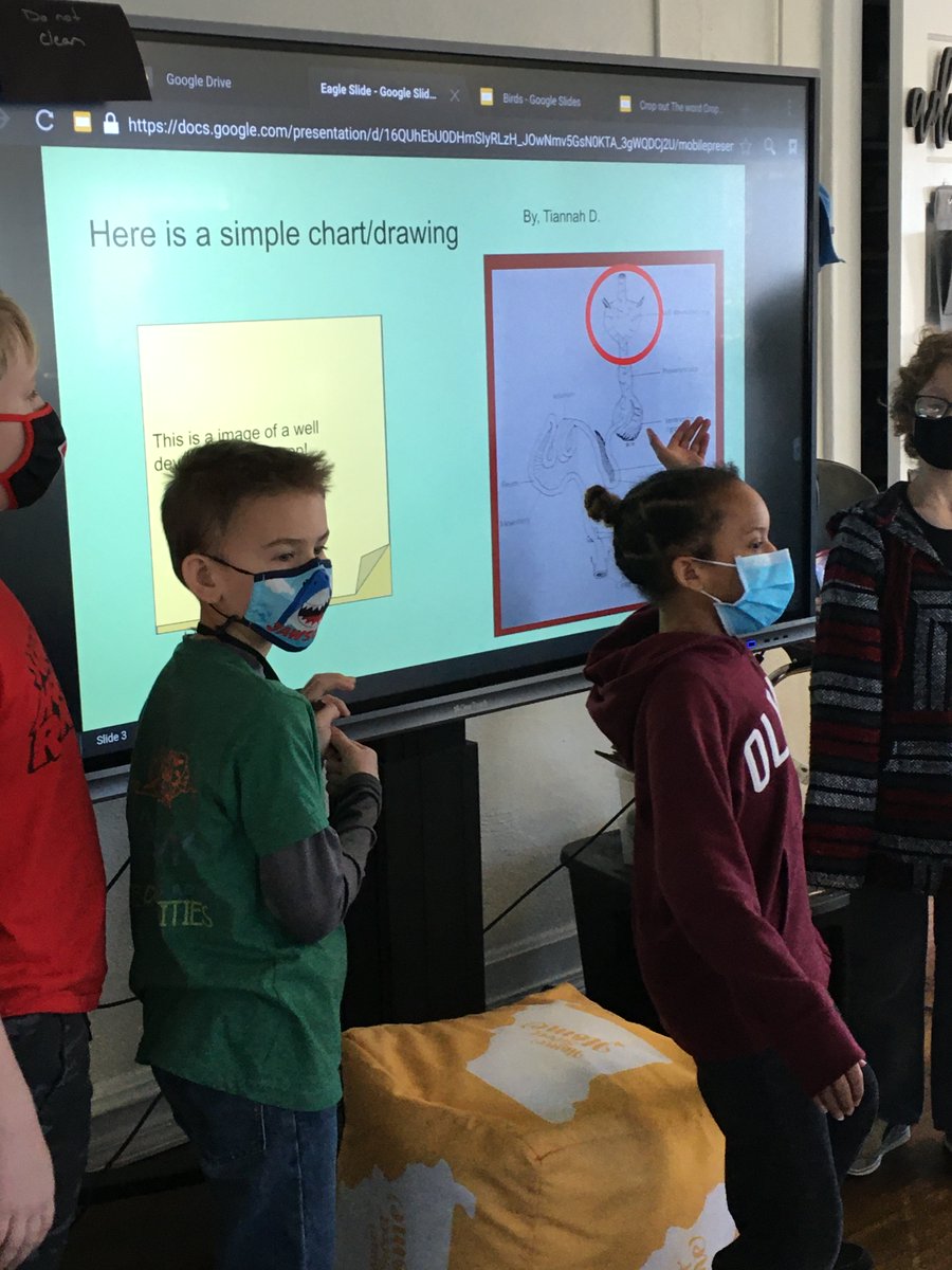 AFPASPS's tweet image. AFPA students work in ensembles to interpret/present scientific vocabulary from @SWFLEagleCAM Models of incubators, diagrams of digestive &amp;amp; reproductive systems, synonyms, fun facts &amp;amp; animated slides were used to demonstrate research/knowledge. It&apos;s all about CHOICE @officialSPS