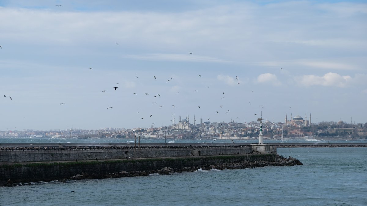 afkarasu's tweet image. soğuğa rağmen çok güzeldi hava
#istanbul #vapuring