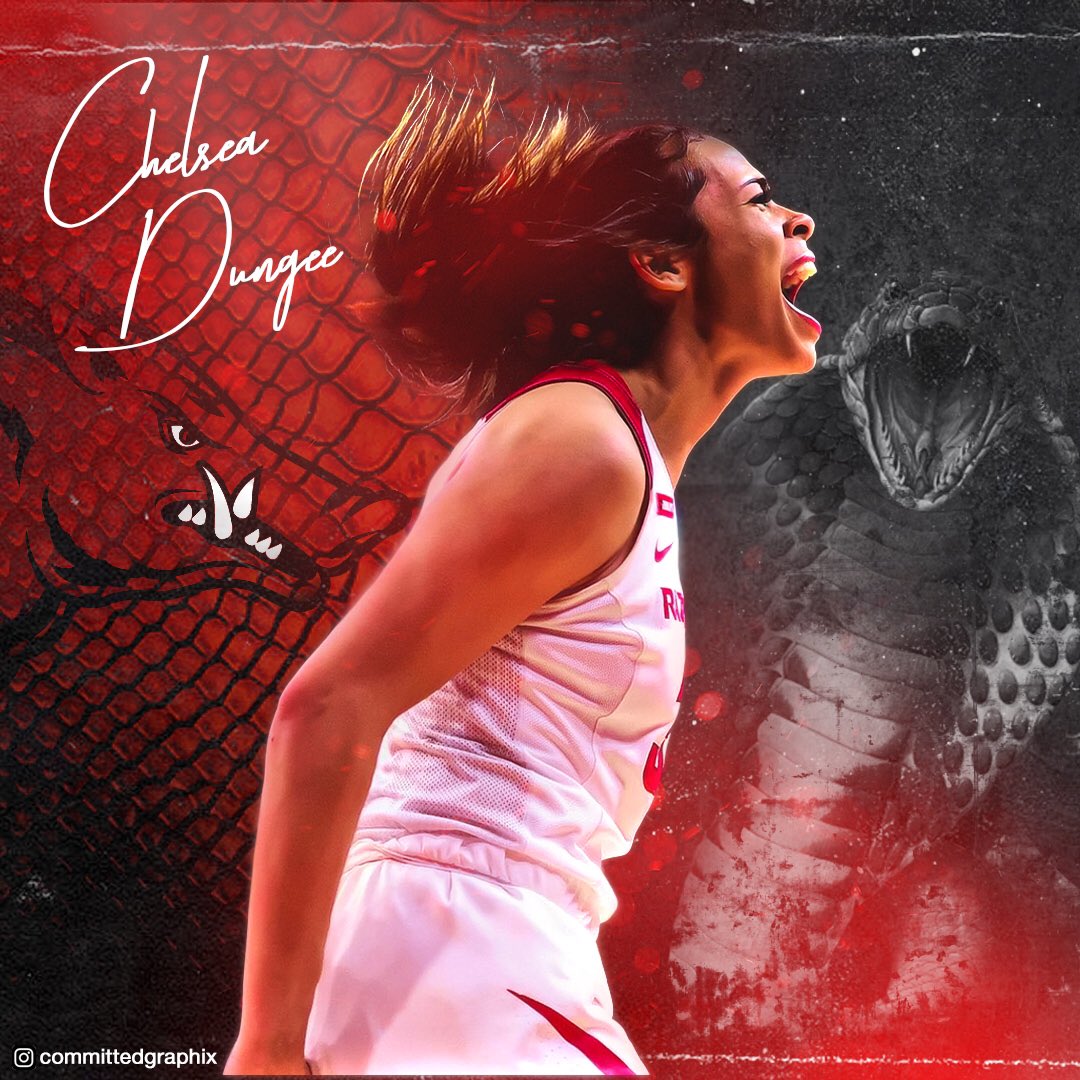 CommittedGraph1's tweet photo. Chelsea Dungee ignited her inner #mambamentality against Uconn yesterday and dropped 37 points 👌

@chelsea_dungee 

#arkansasrazorbacks #razorbacks #sec #beatuconn #chelseadungee #mambamentality🐍 https://t.co/ryETfgaRNd
