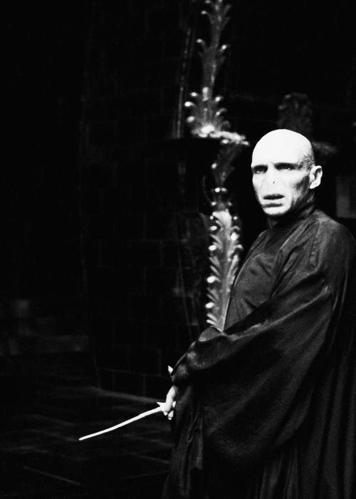 Tom Riddle's Wand-A theory thread