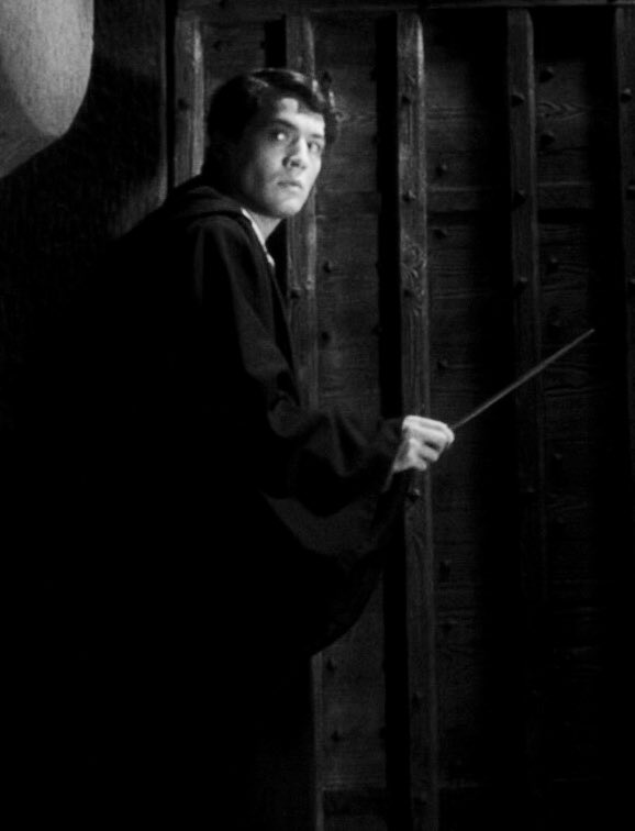 Tom Riddle's Wand-A theory thread