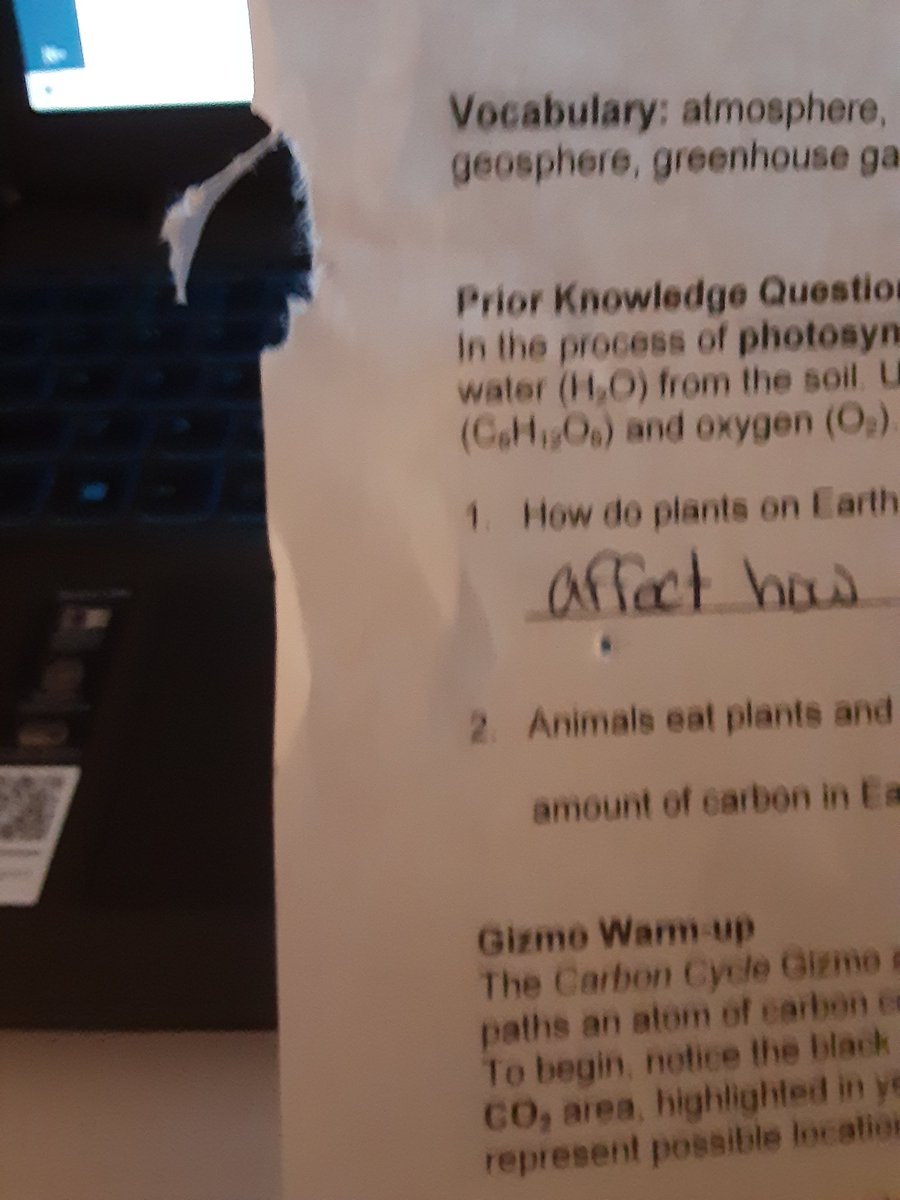 mochipower95's tweet photo. My cat really said fuck the Carbon Cycle https://t.co/mn5XfR6tlz