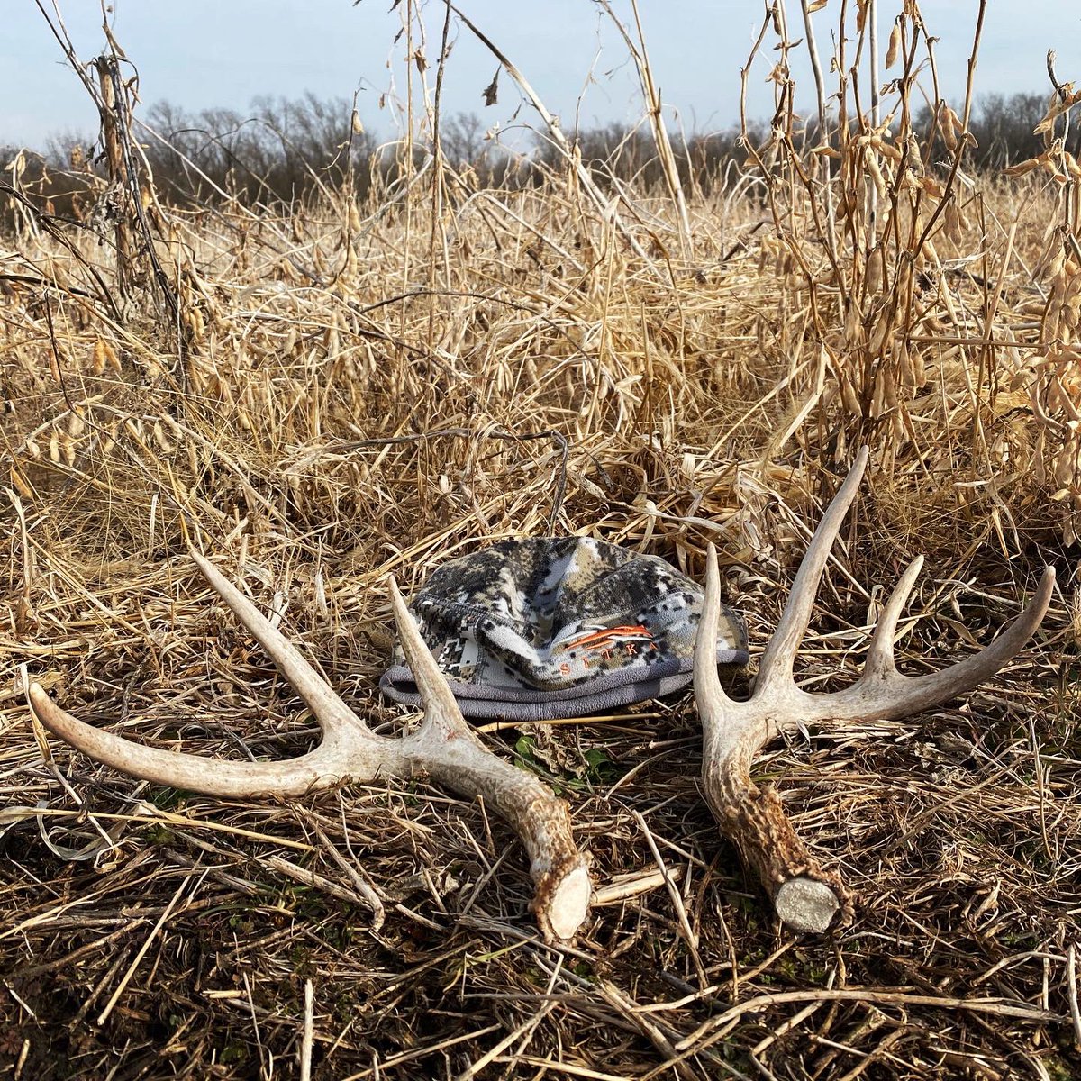 BEOUTDOORScom's tweet photo. Not a bad start! #matchedset #matchedantlers #milesforpiles #shoeleather #shedhunting #shedantler #sheds #browngold #whitegold #shedhunter #shedhunt #antlers https://t.co/dGHqCKlE5V